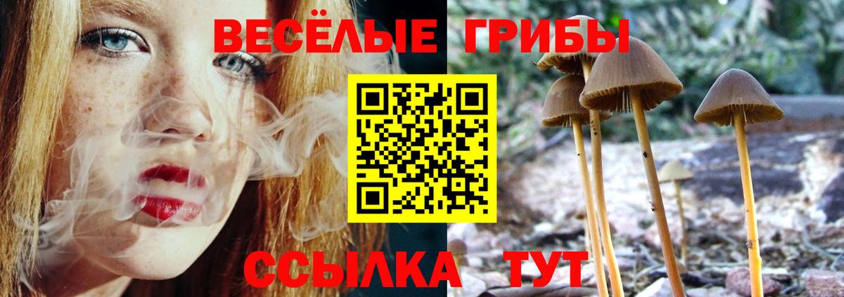 Киреевск  Псилоцибиновые грибы прущие грибы  Вход с VPN 